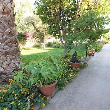 Residence Il Giunco Presicce Ngoại thất bức ảnh