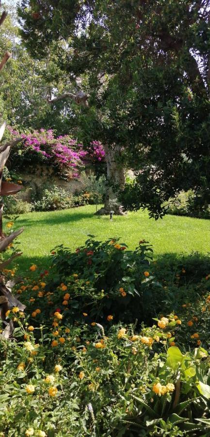 Residence Il Giunco Presicce Ngoại thất bức ảnh