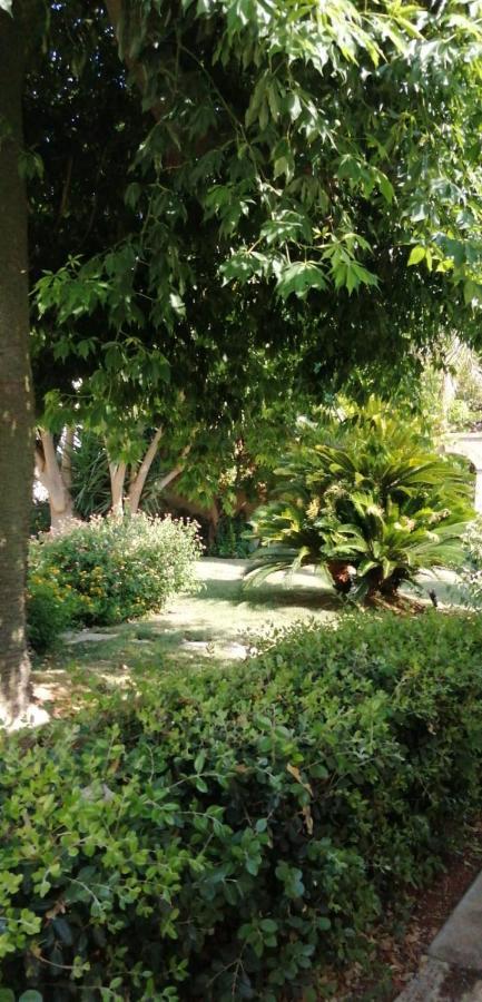 Residence Il Giunco Presicce Ngoại thất bức ảnh